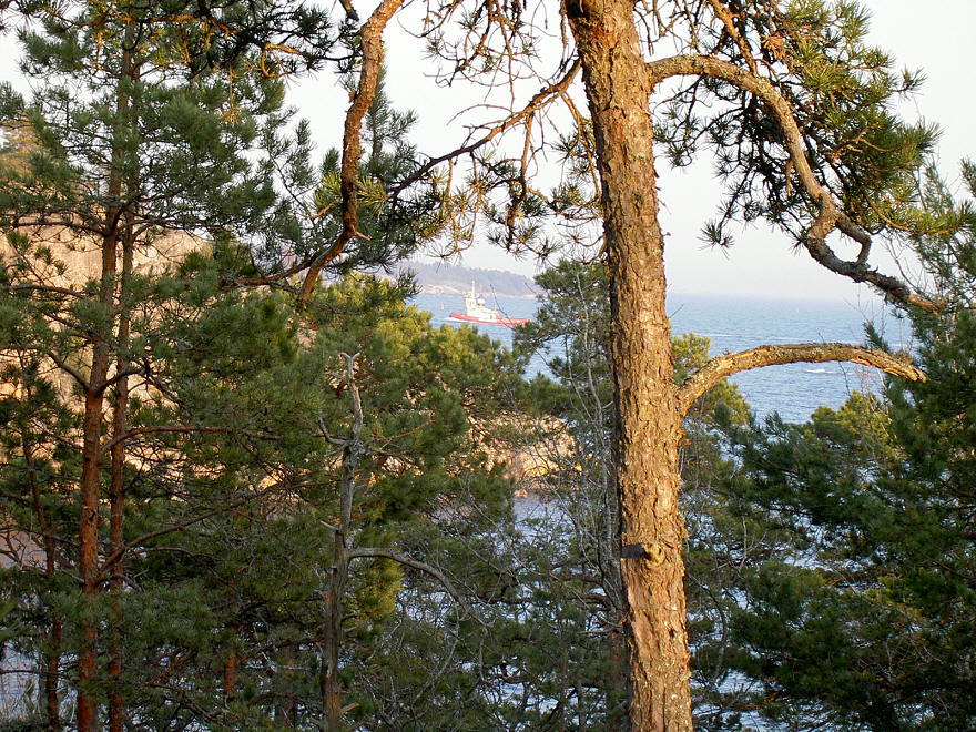 foto Per Rödseth