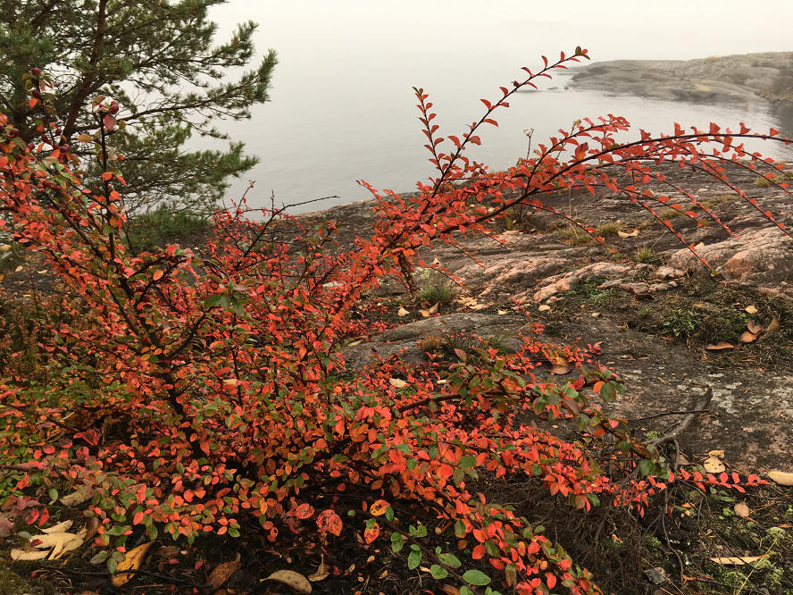 foto Per Rödseth