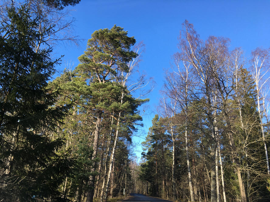 foto Per Rödseth