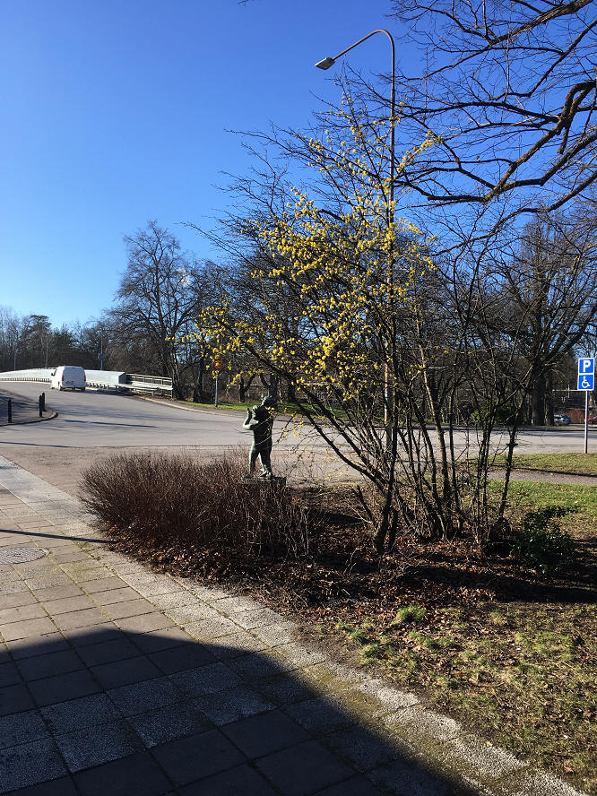 foto Per Rödseth