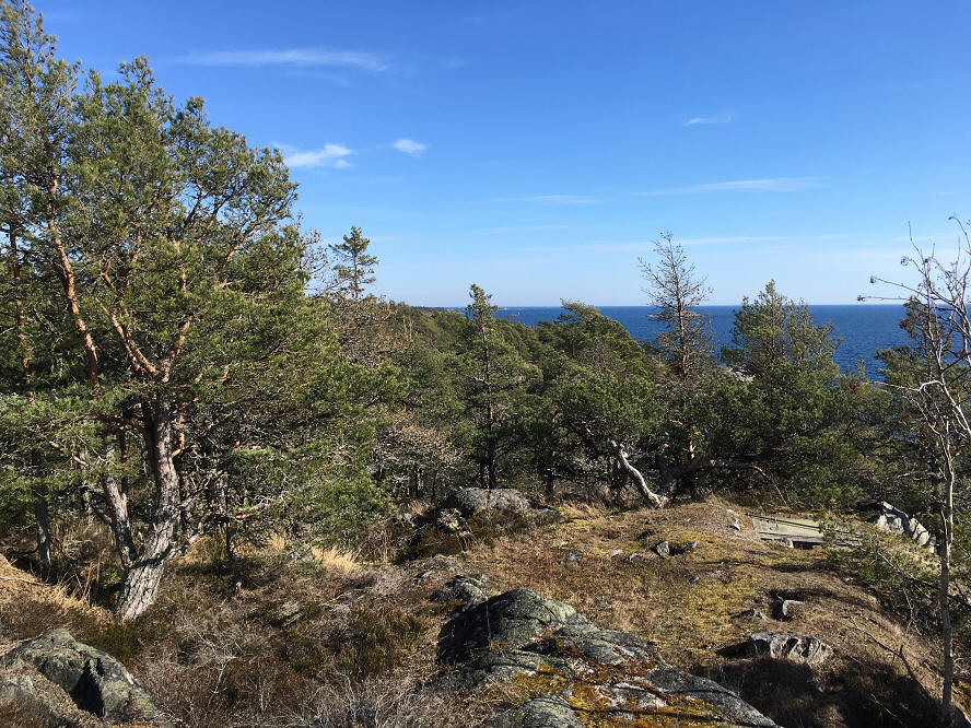 foto Per Rödseth
