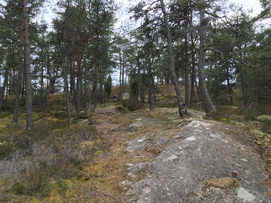 foto Per Rödseth