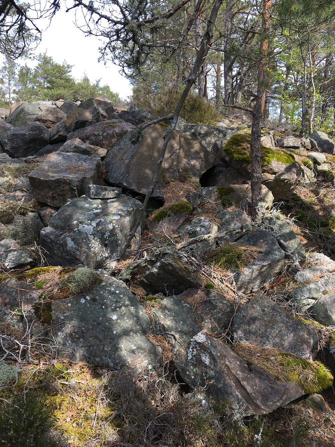 foto Per Rödseth