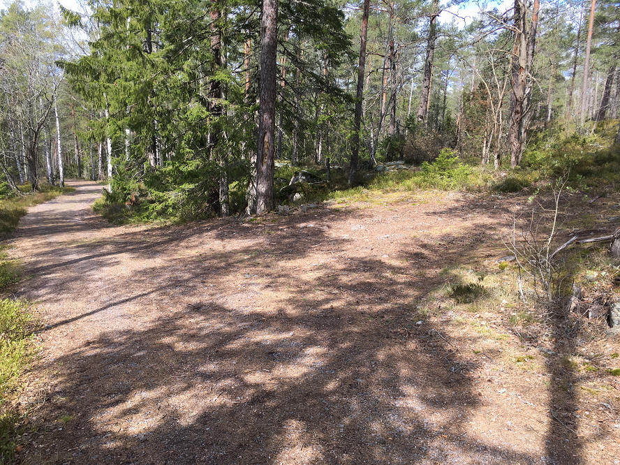 foto Per Rödseth