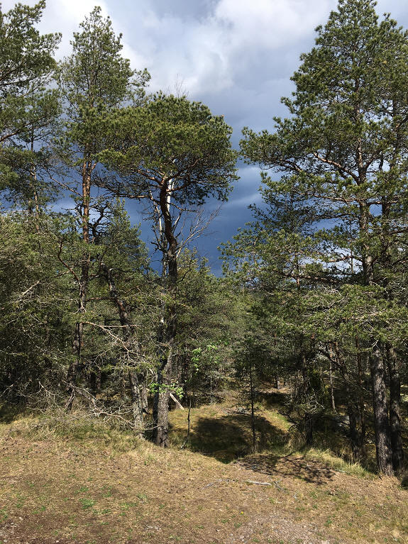 foto Per Rödseth
