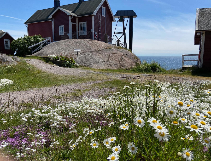 foto Karin Henriksson
