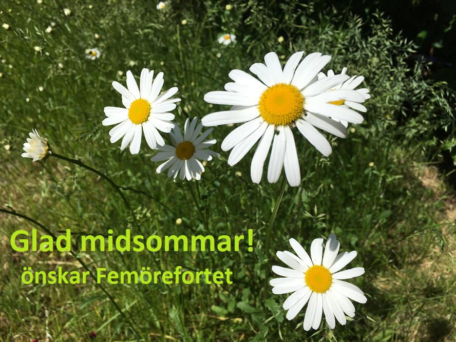 foto Per Rödseth