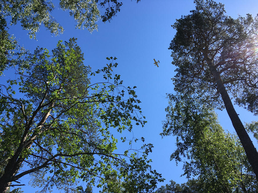 foto Per Rödseth