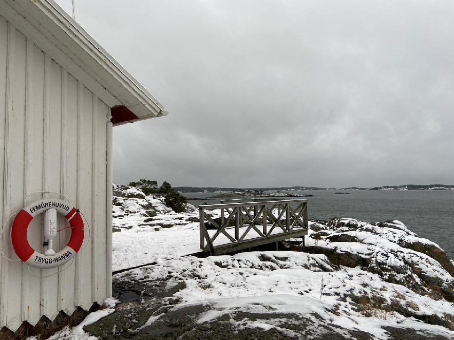 foto Karin Henriksson