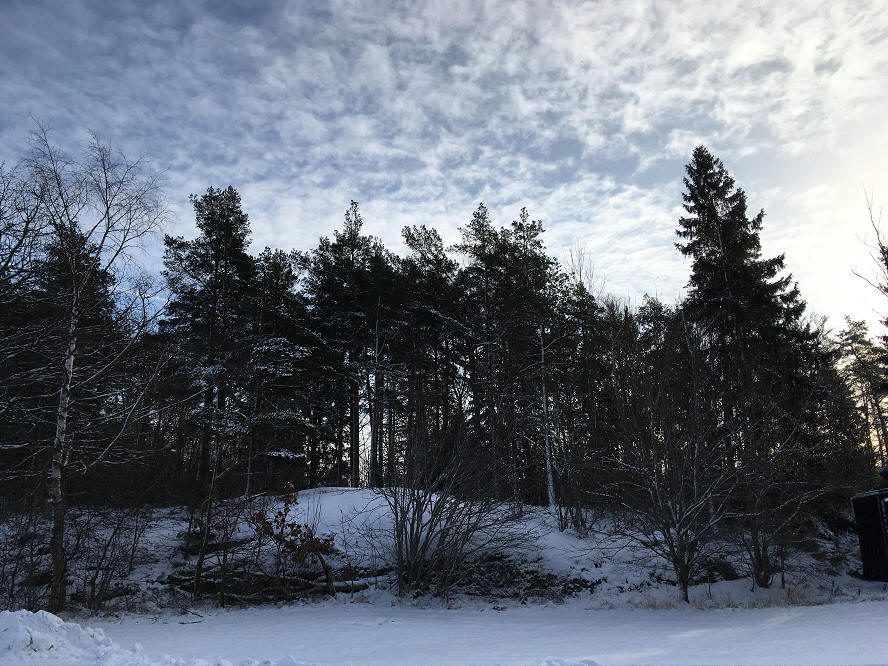 foto Per Rödseth