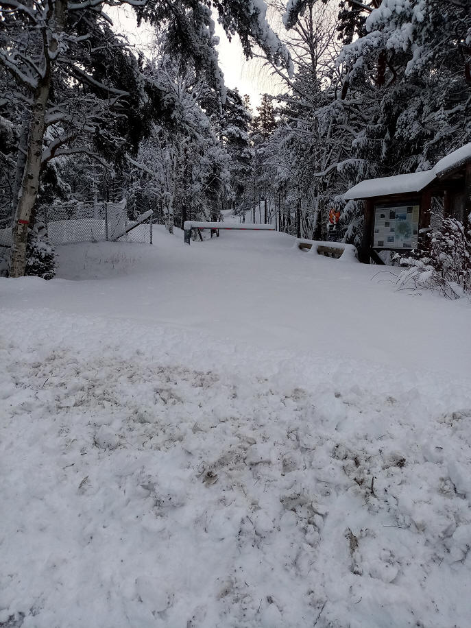 foto Göran Johansson