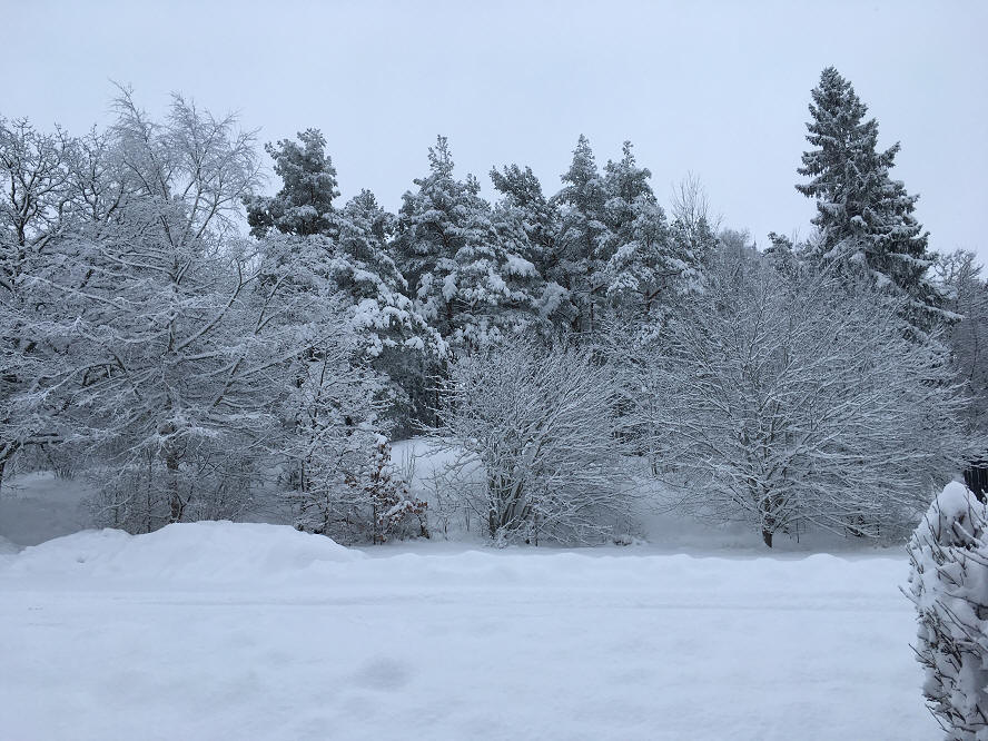 foto Per Rödseth