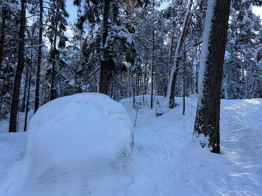 foto Karin Henriksson