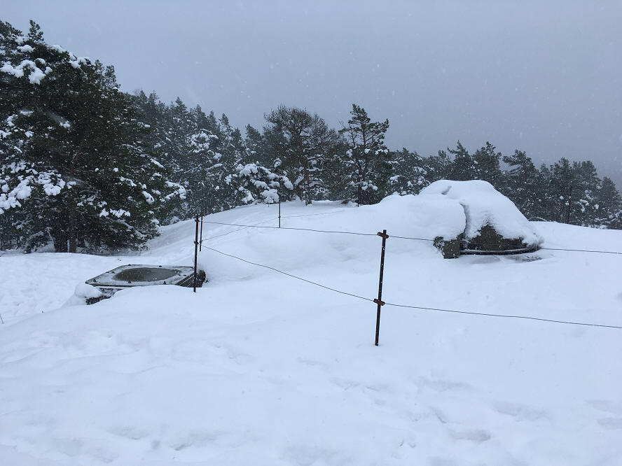 foto Per Rödseth