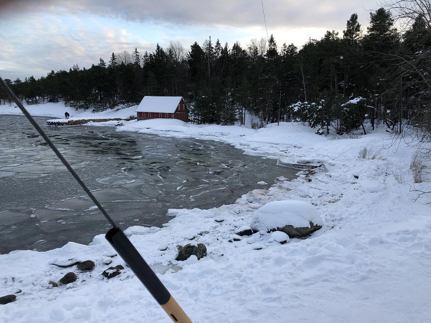 foto Anne Rödseth