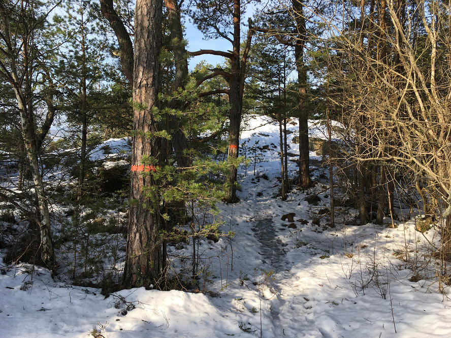 foto Per Rödseth