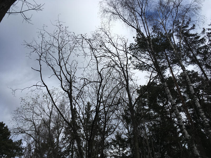 foto Per Rödseth