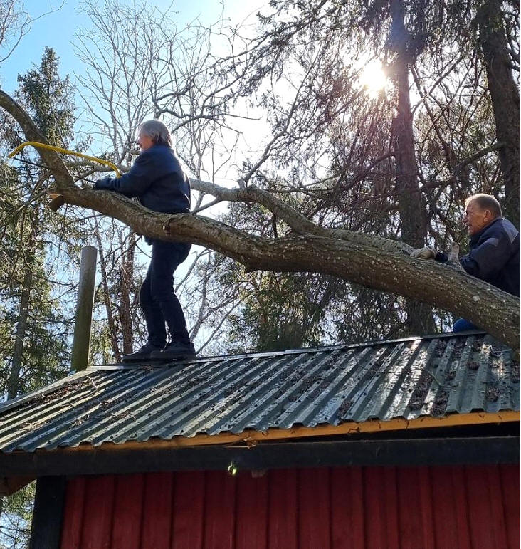 foto Robert Hedman