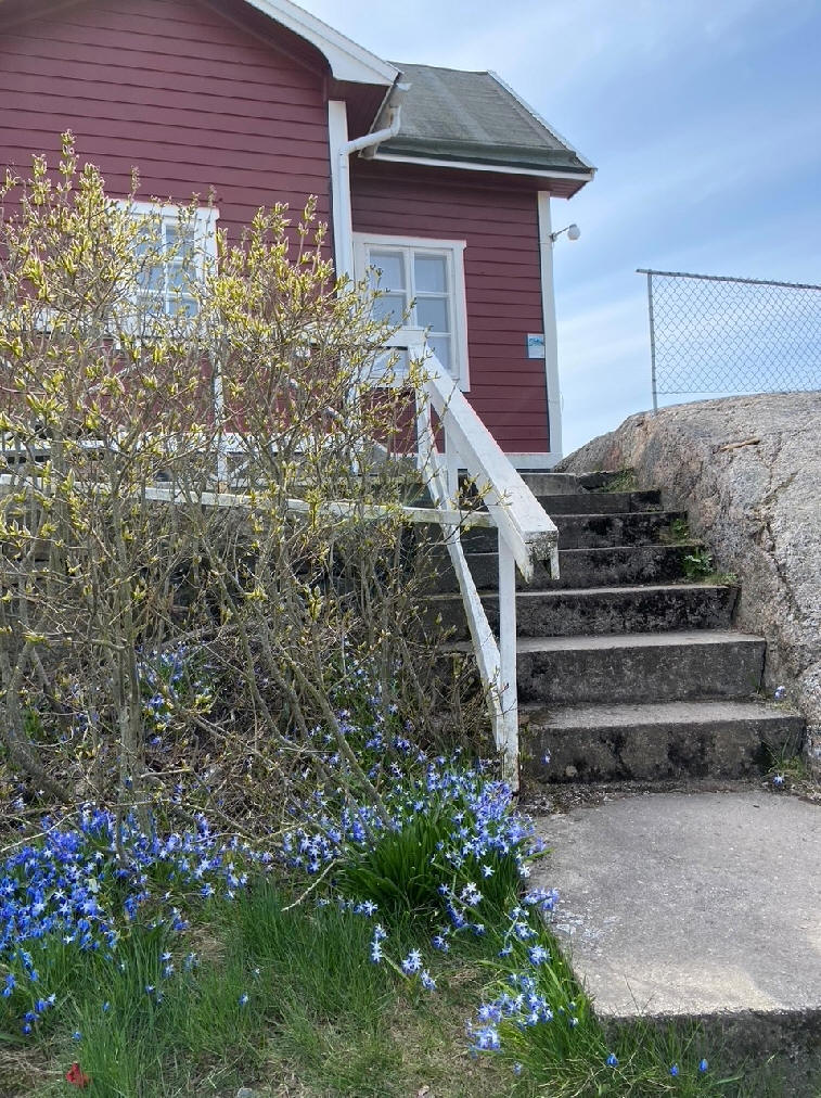 foto Karin Henriksson