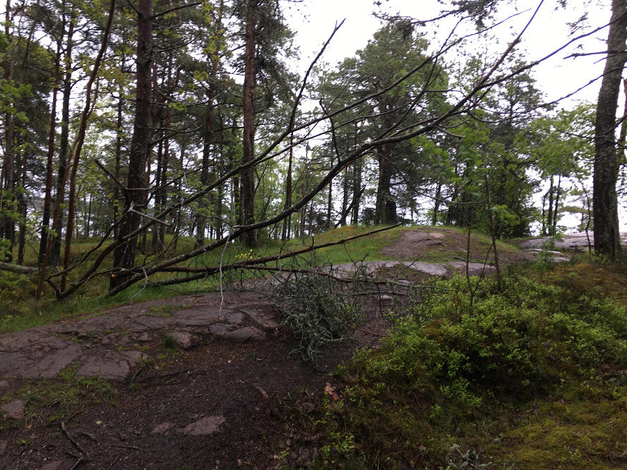 foto Per Rödseth