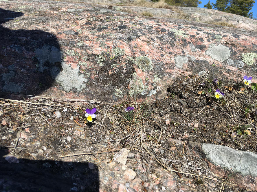 foto Per Rödseth