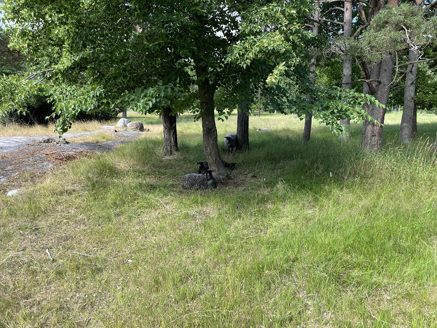 foto Per Rödseth