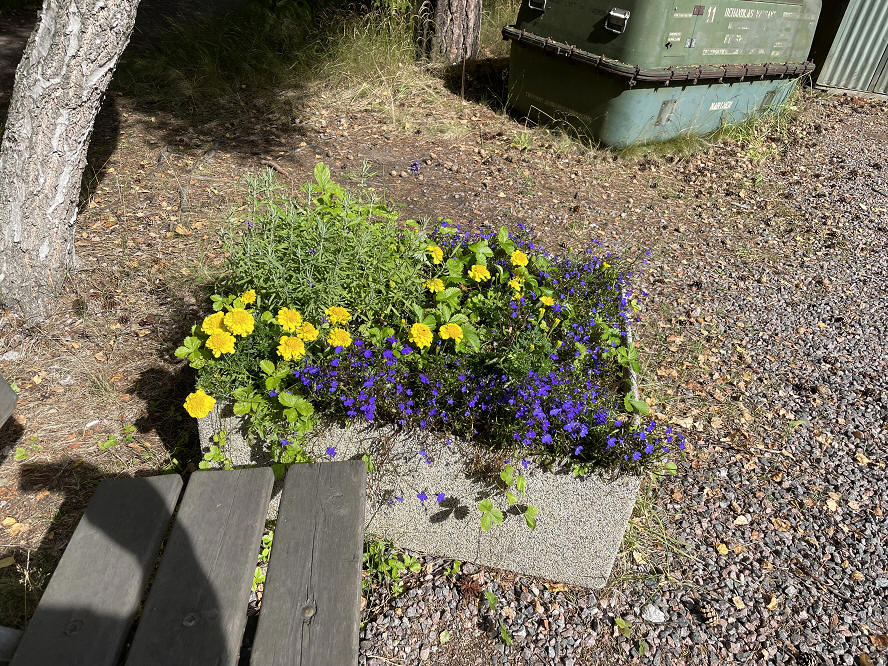 foto Per Rödseth