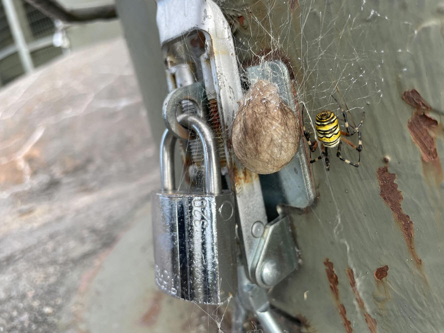 foto Per Rödseth