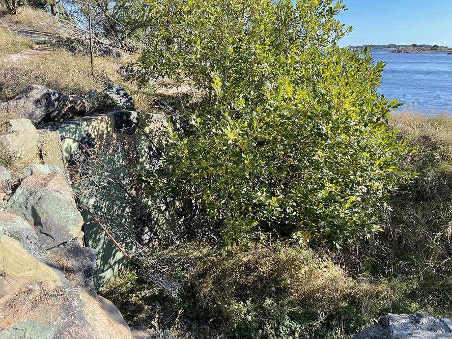 foto Per Rödseth