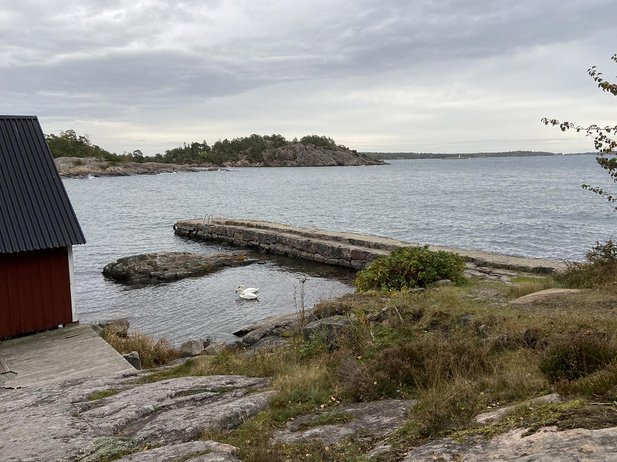 foto Karin Henriksson