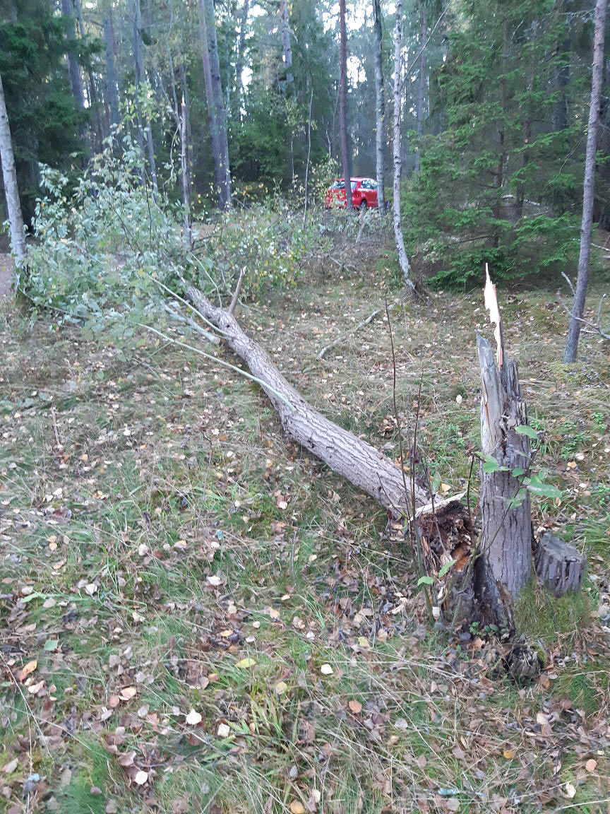 foto Göran Johansson