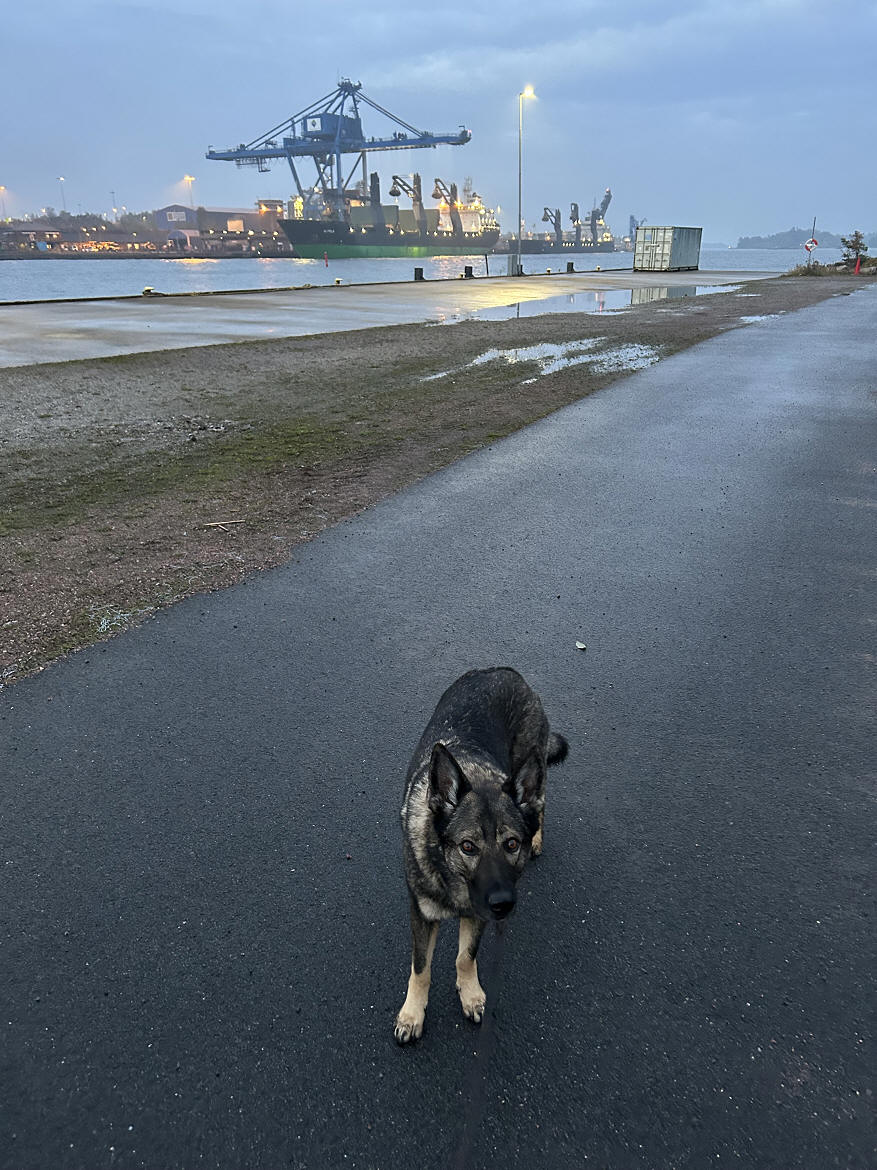 foto Mikael Lindholm