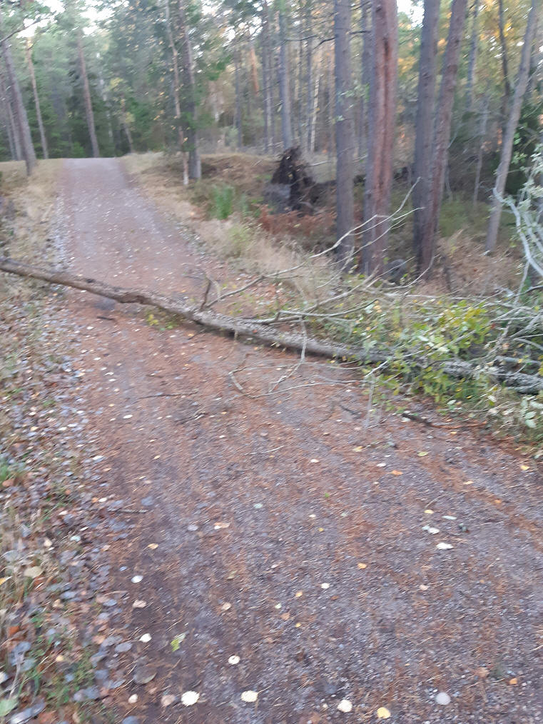 foto Göran Johansson