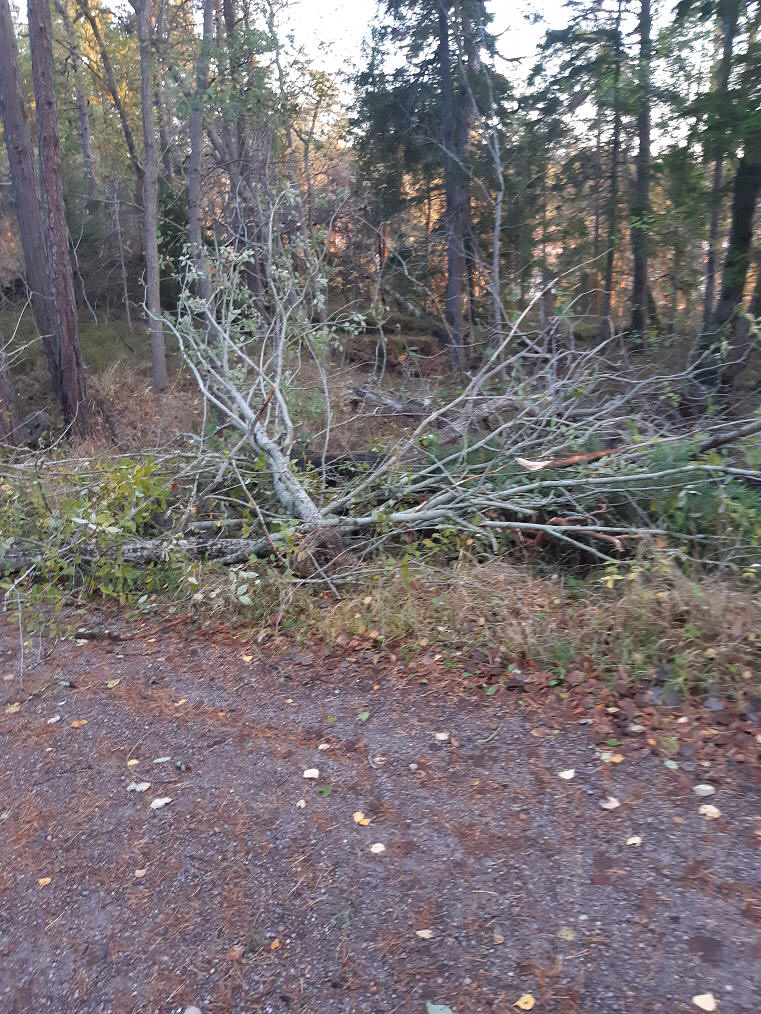 foto Göran Johansson