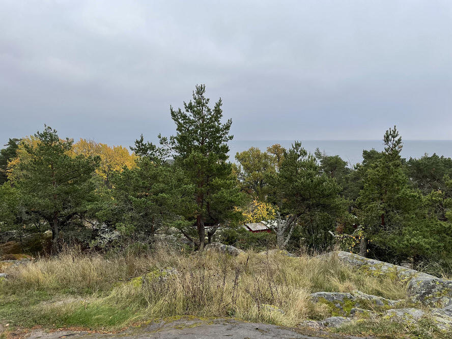 foto Per Rödseth