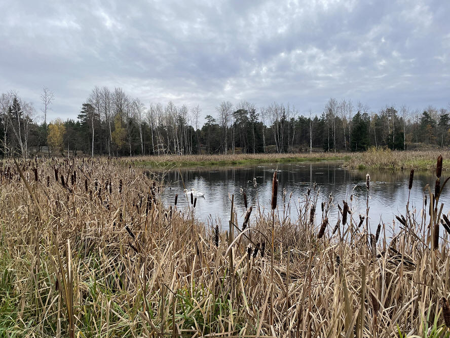foto Per Rödseth