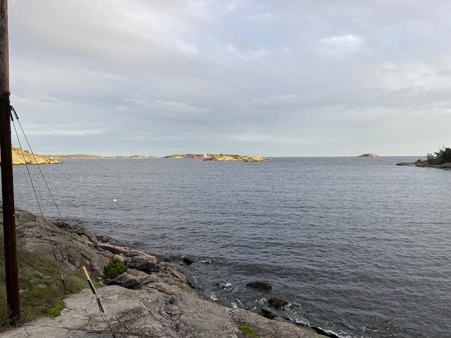 foto Karin Henriksson