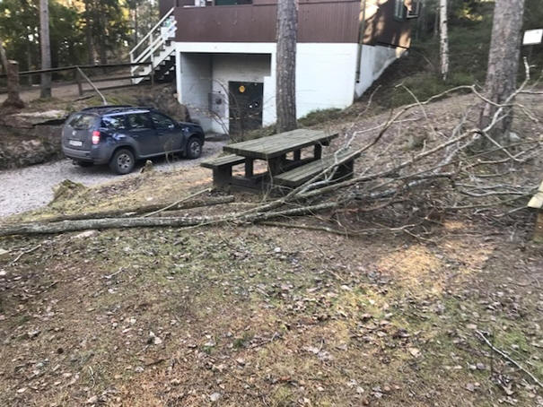 foto Göran Johanssson