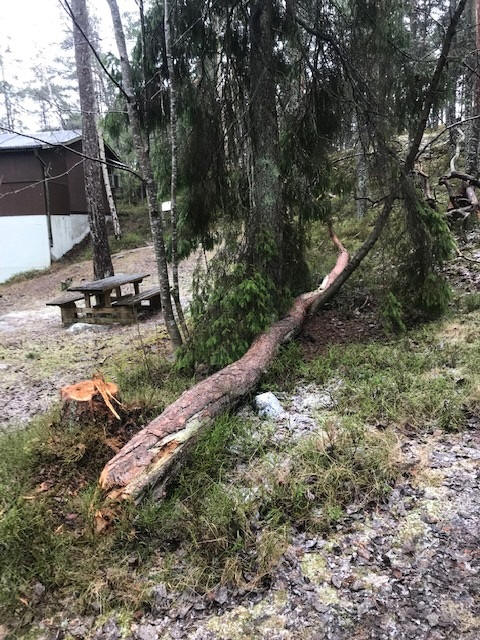 foto Göran Johansson