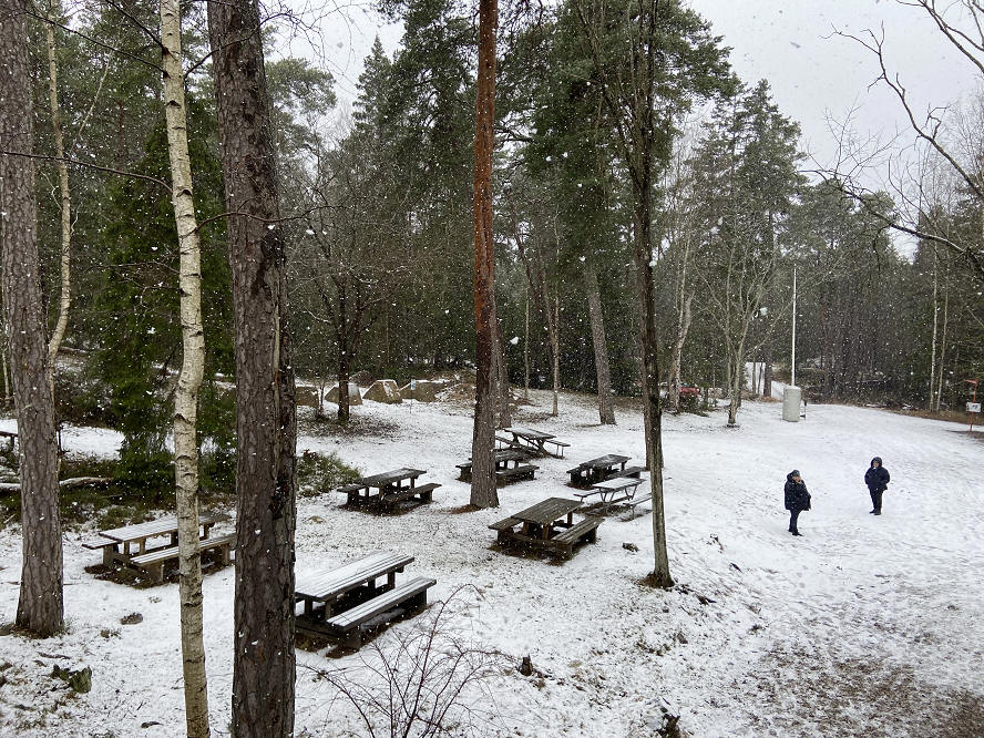 foto Karin Henriksson