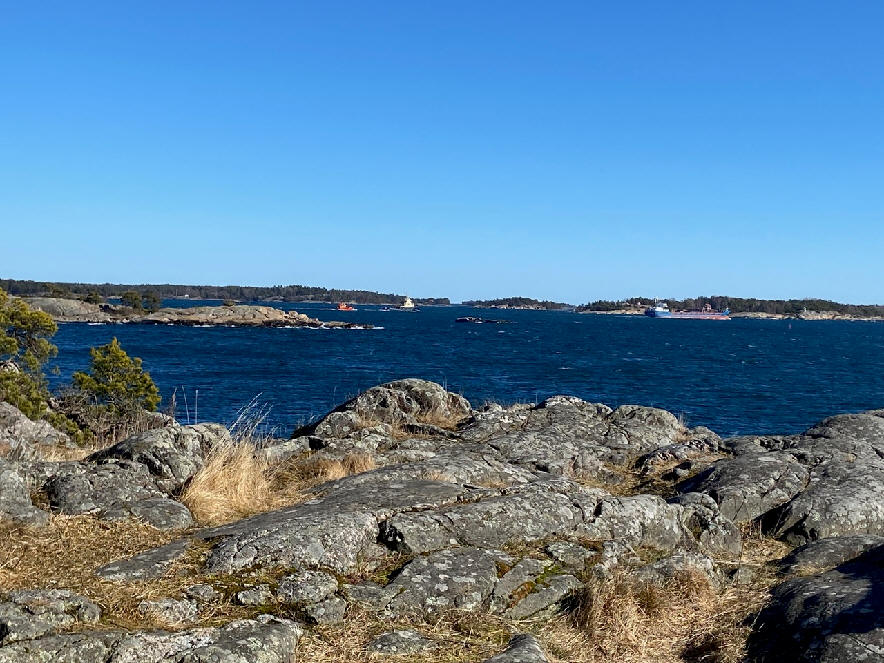 foto Karin Henriksson