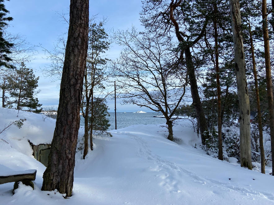 foto Karin Henriksson