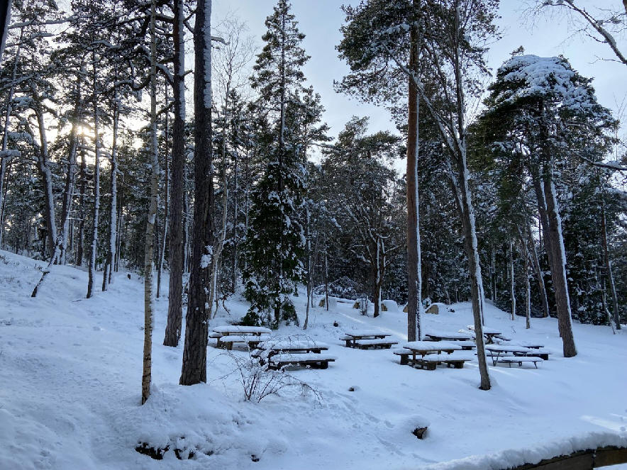foto Karin Henriksson