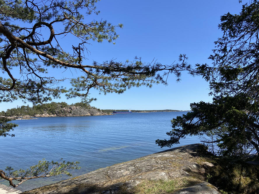 foto Karin Henriksson