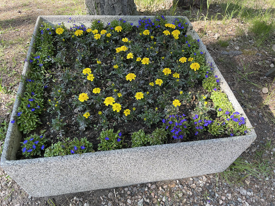 foto Per Rödseth