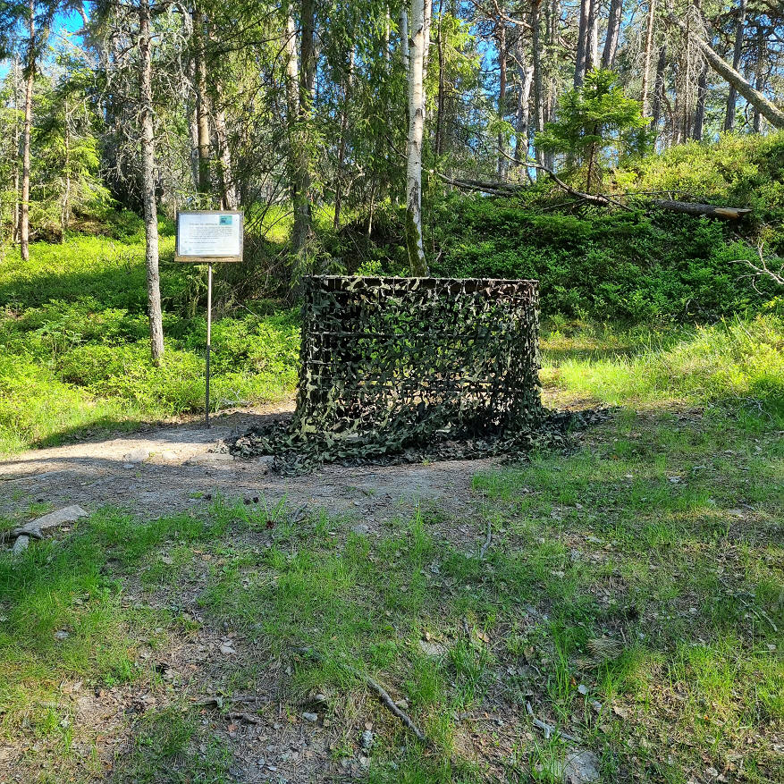 foto Robert Hedman
