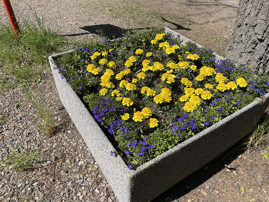 foto Per Rödseth