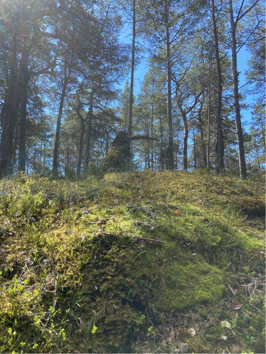 foto Karin Henriksson