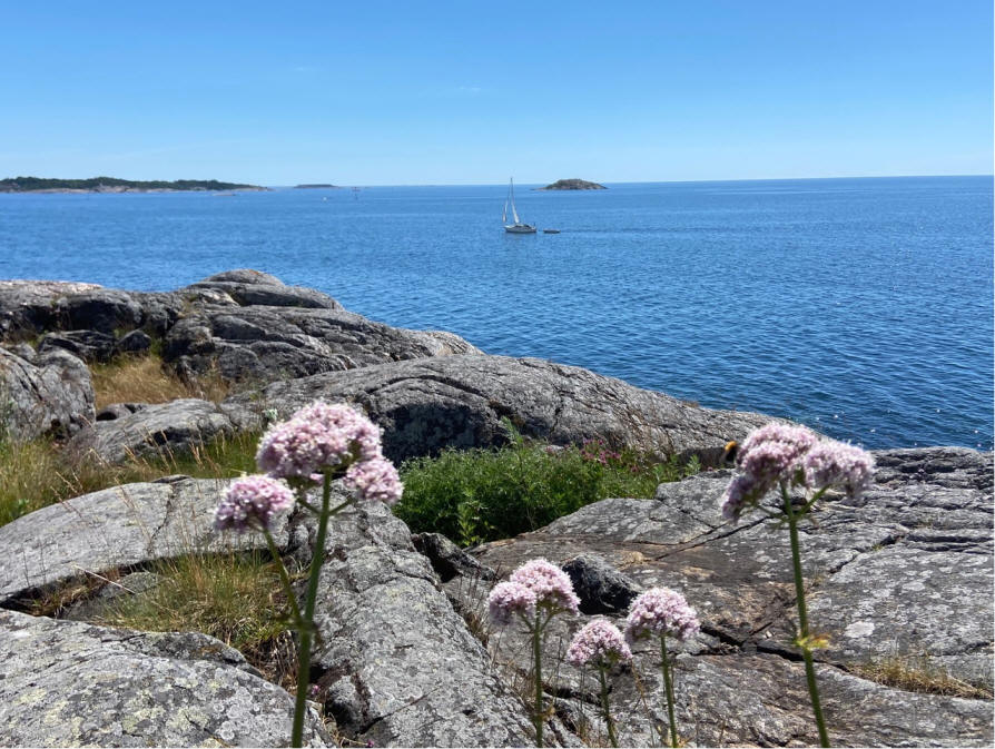 foto Karin Henriksson
