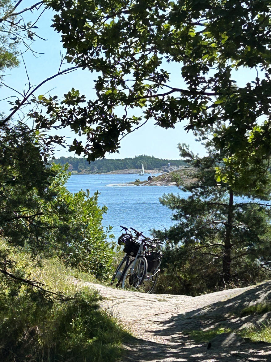 foto Mikael Lindholm